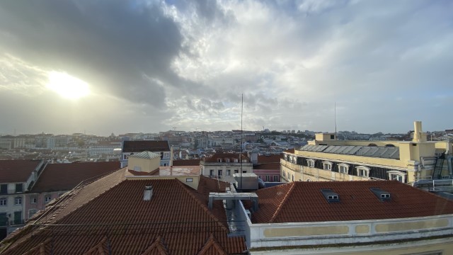 IMG 3546