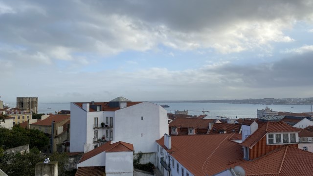 IMG 3554