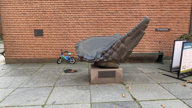 IMG 1562