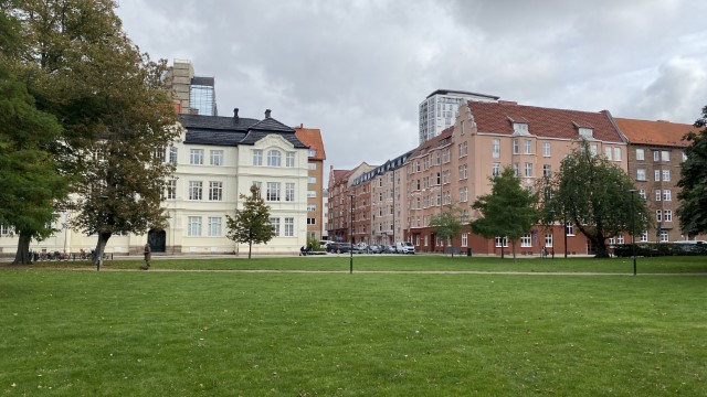 IMG 1693