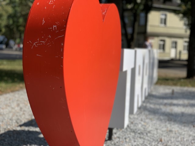 IMG 8617