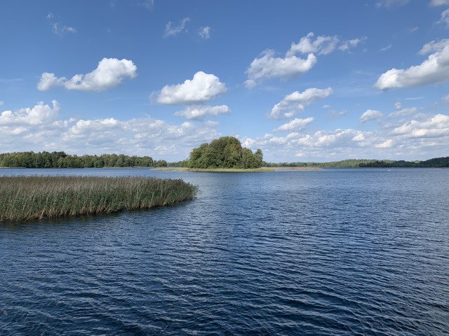 IMG 8656