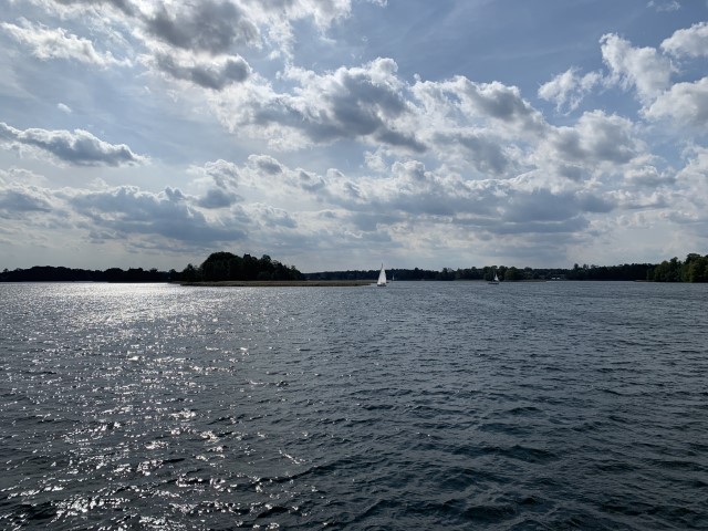 IMG 8669