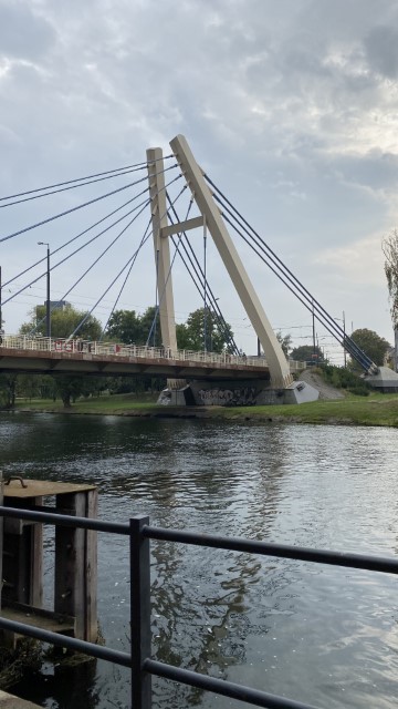 IMG 0780