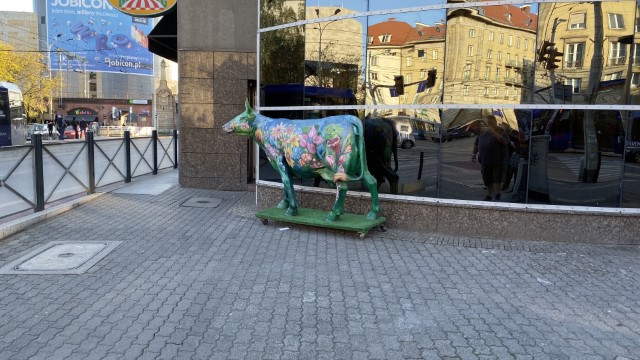 IMG 1231