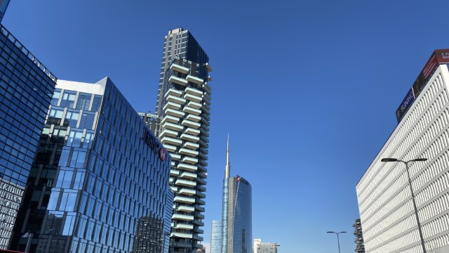 IMG 7689