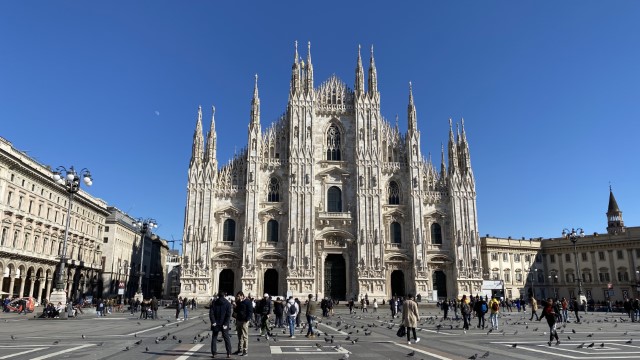 IMG 7913