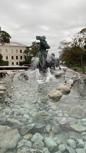 IMG 1920