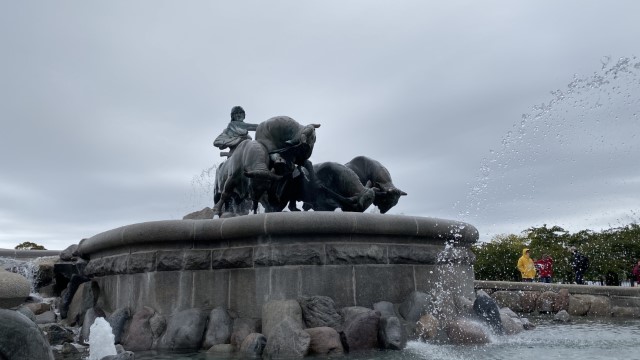 IMG 1929