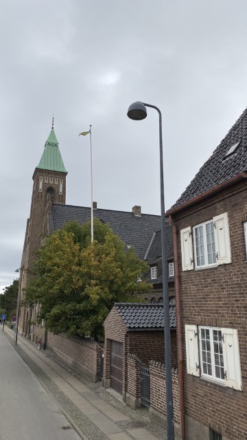 IMG 1953