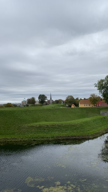 IMG 1954