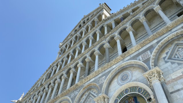IMG 0490