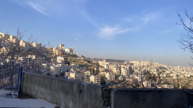 IMG 7359