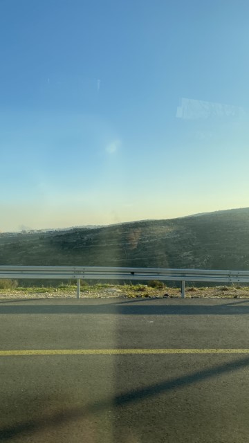 IMG 7375