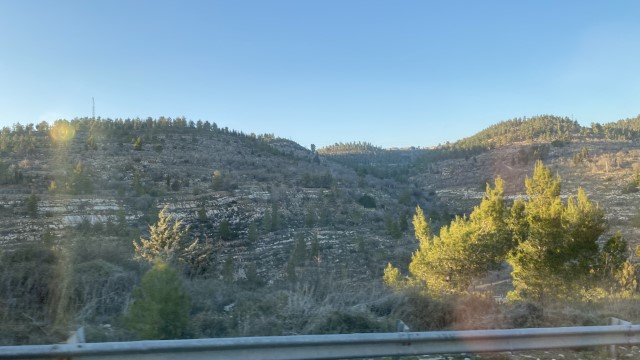 IMG 7377
