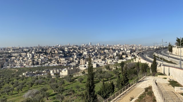 IMG 7037