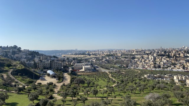 IMG 7039