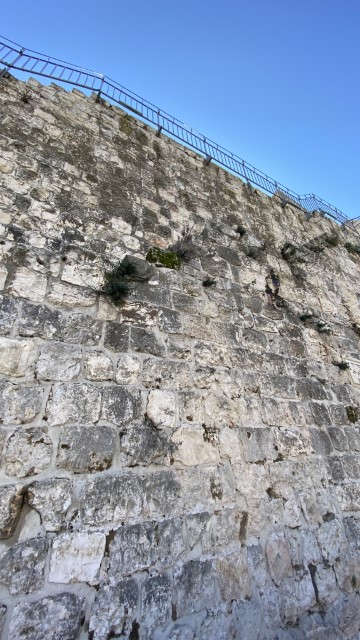 IMG 7220