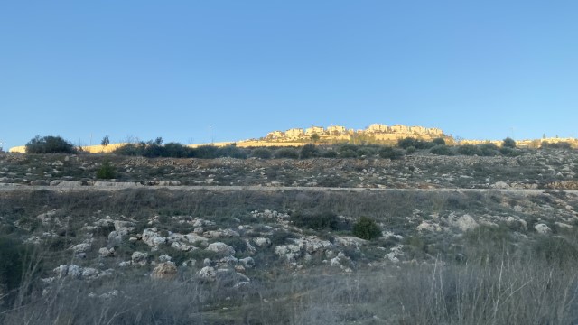 IMG 7378