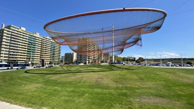 IMG 2014