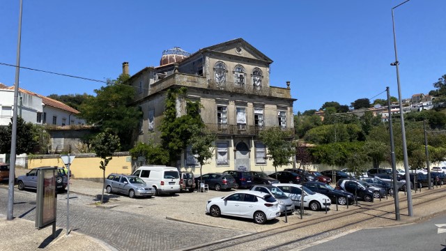 IMG 2063