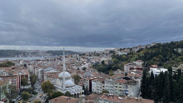 IMG 0306