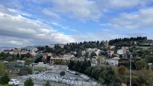 IMG 0337