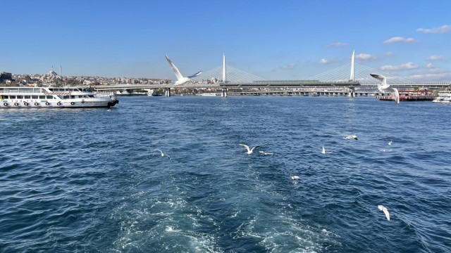 IMG 0550