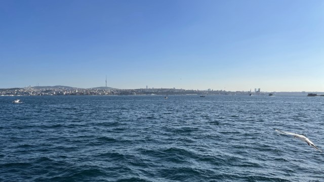 IMG 0567