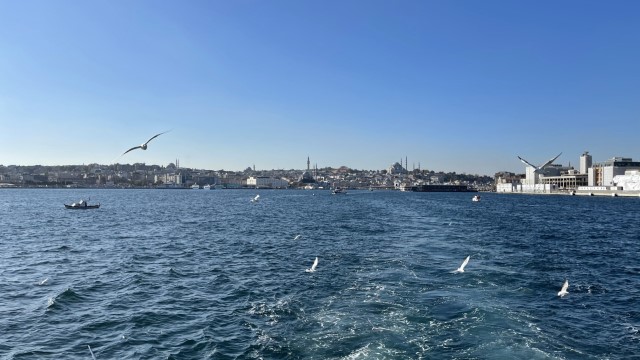 IMG 0573