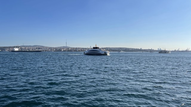 IMG 0579