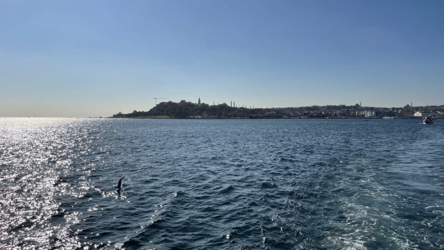 IMG 0581