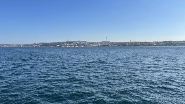 IMG 0586