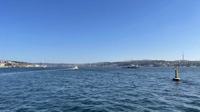 IMG 0595