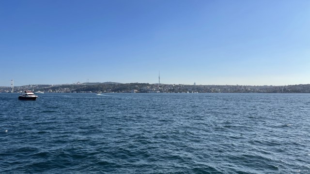 IMG 0597