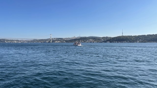 IMG 0608