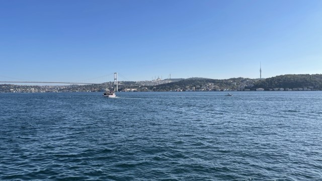 IMG 0611
