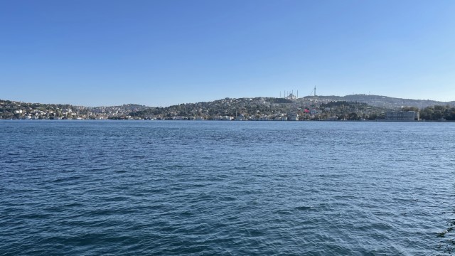 IMG 0633