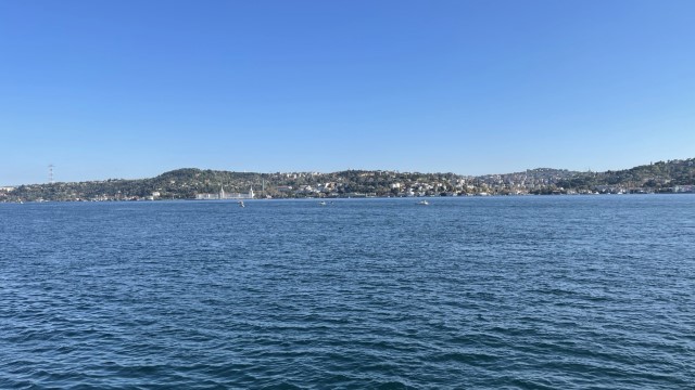 IMG 0638