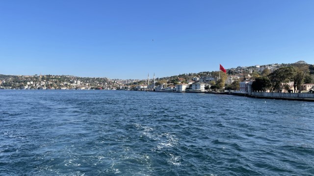 IMG 0675