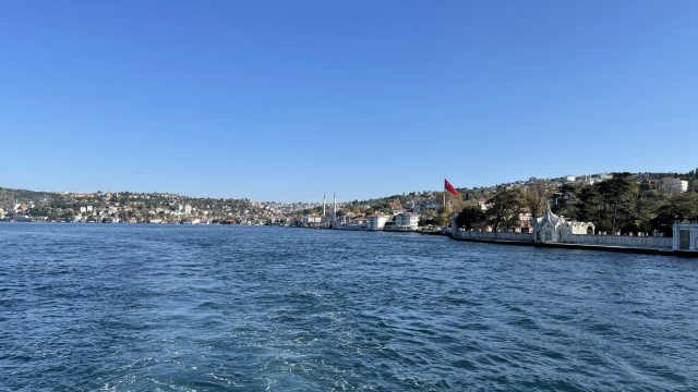 IMG 0677