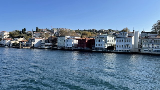 IMG 0687