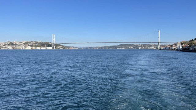 IMG 0689