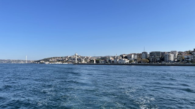 IMG 0719