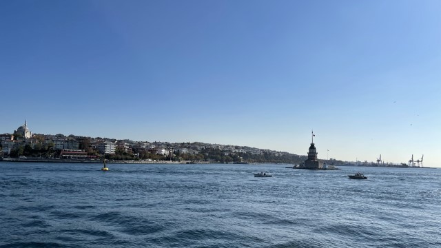IMG 0722