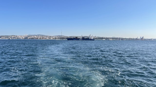 IMG 0725