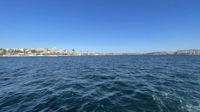 IMG 0727