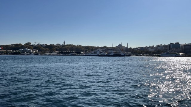 IMG 0733