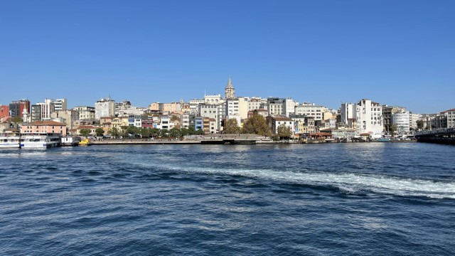 IMG 0741