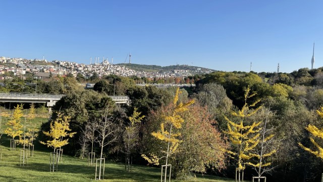 IMG 0809
